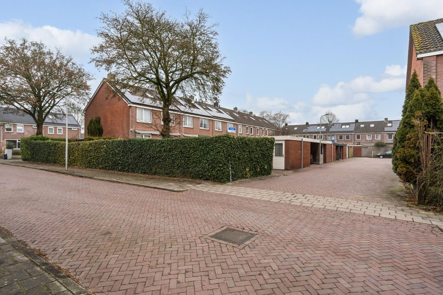 Foto 25 van Canopus 6