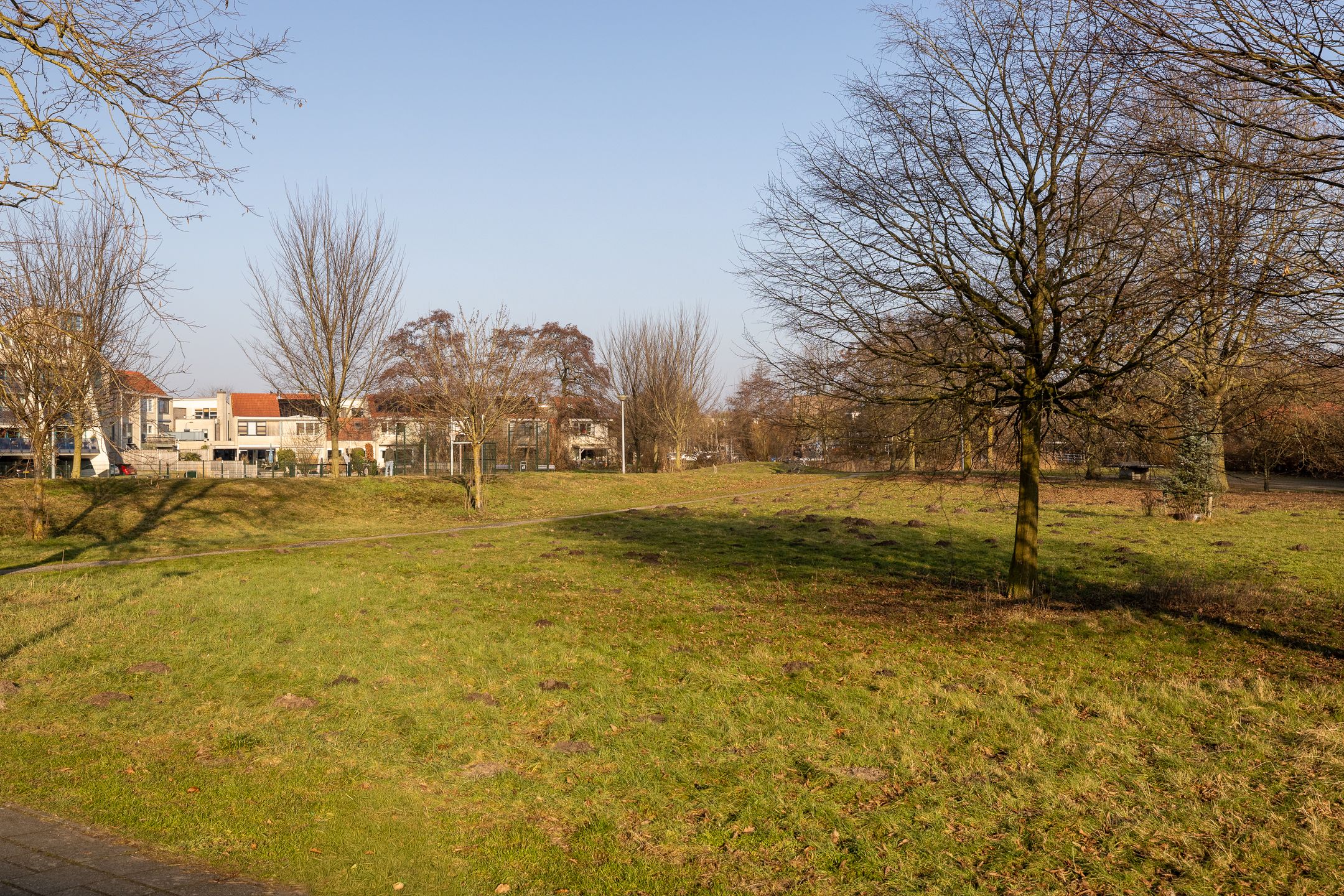 Foto 39 van Fagotdreef 10