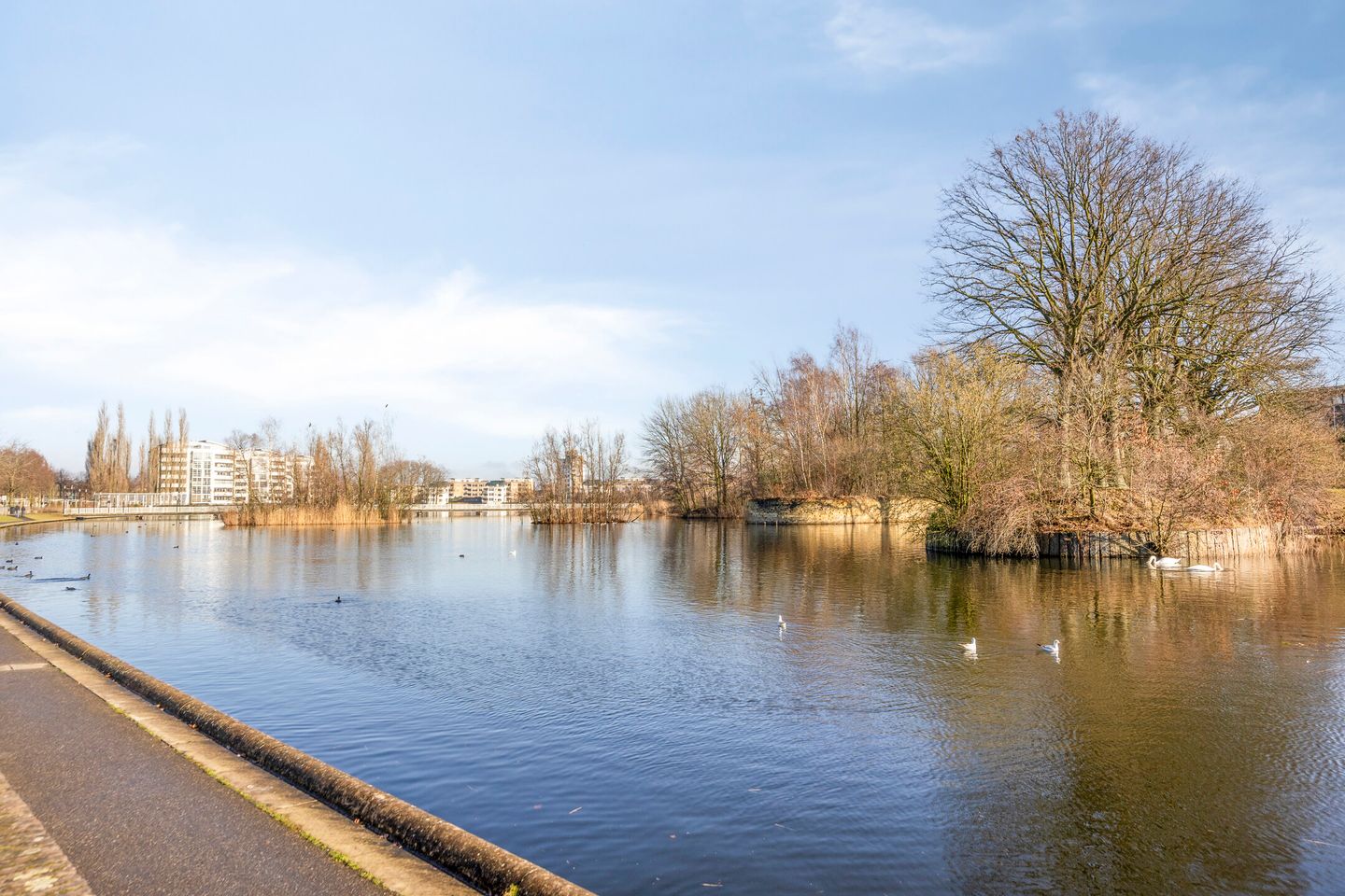 Photo 35 of Bolwerk 10