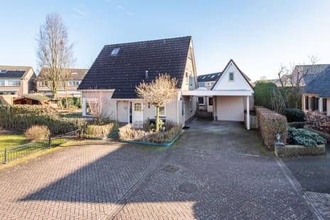 Noordse Stern thumbnail