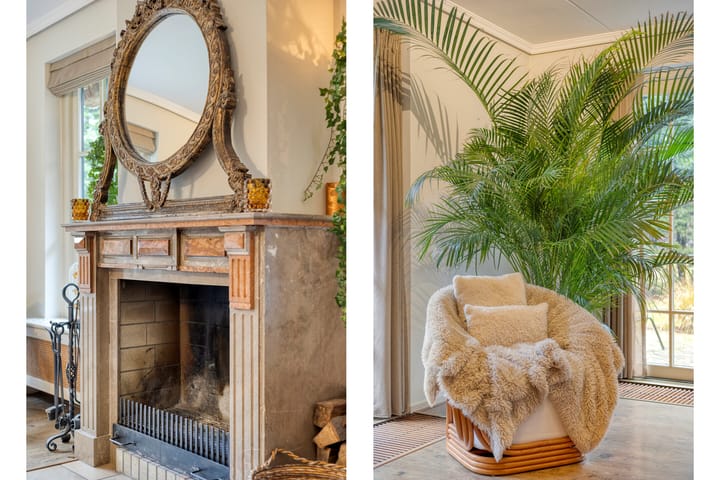 Foto 4 van Duindigt 4