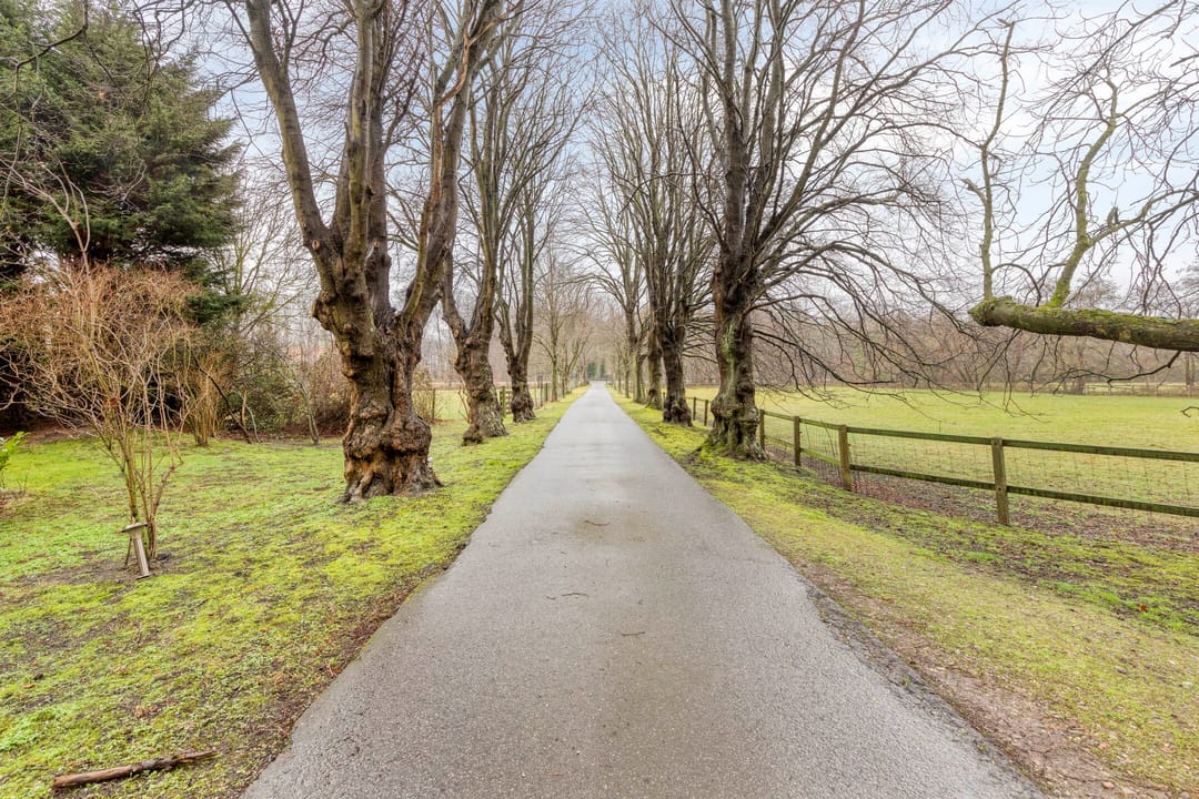 Foto 26 van Duindigt 4