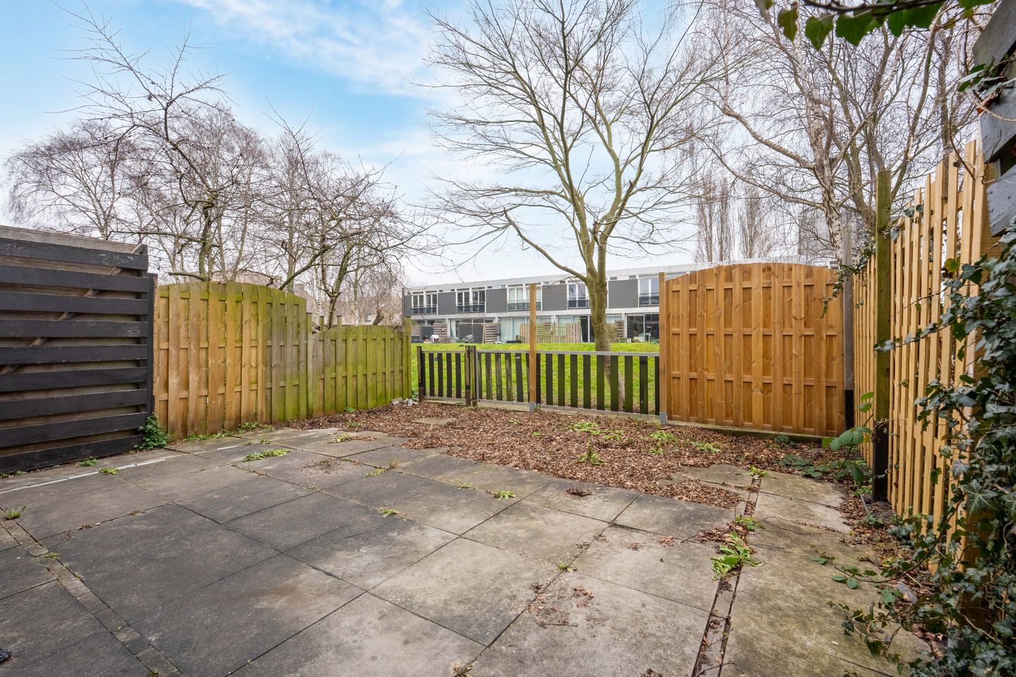 Foto 5 van Argusvlinder 6