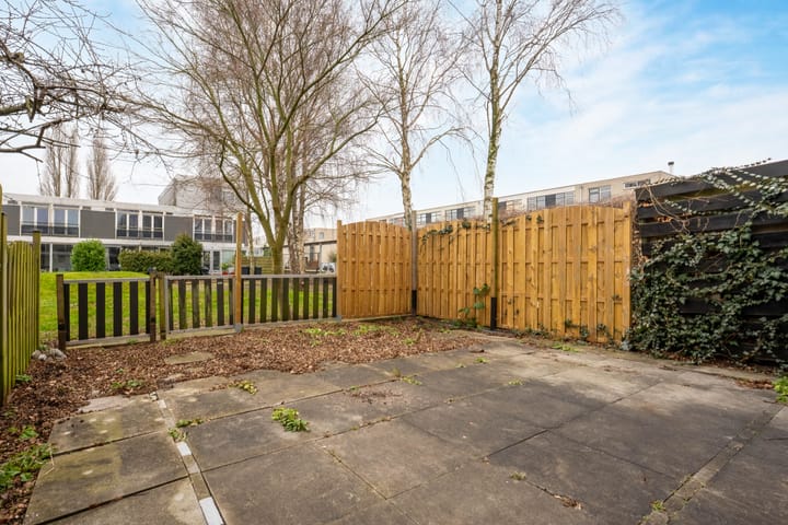 Foto 10 van Argusvlinder 6