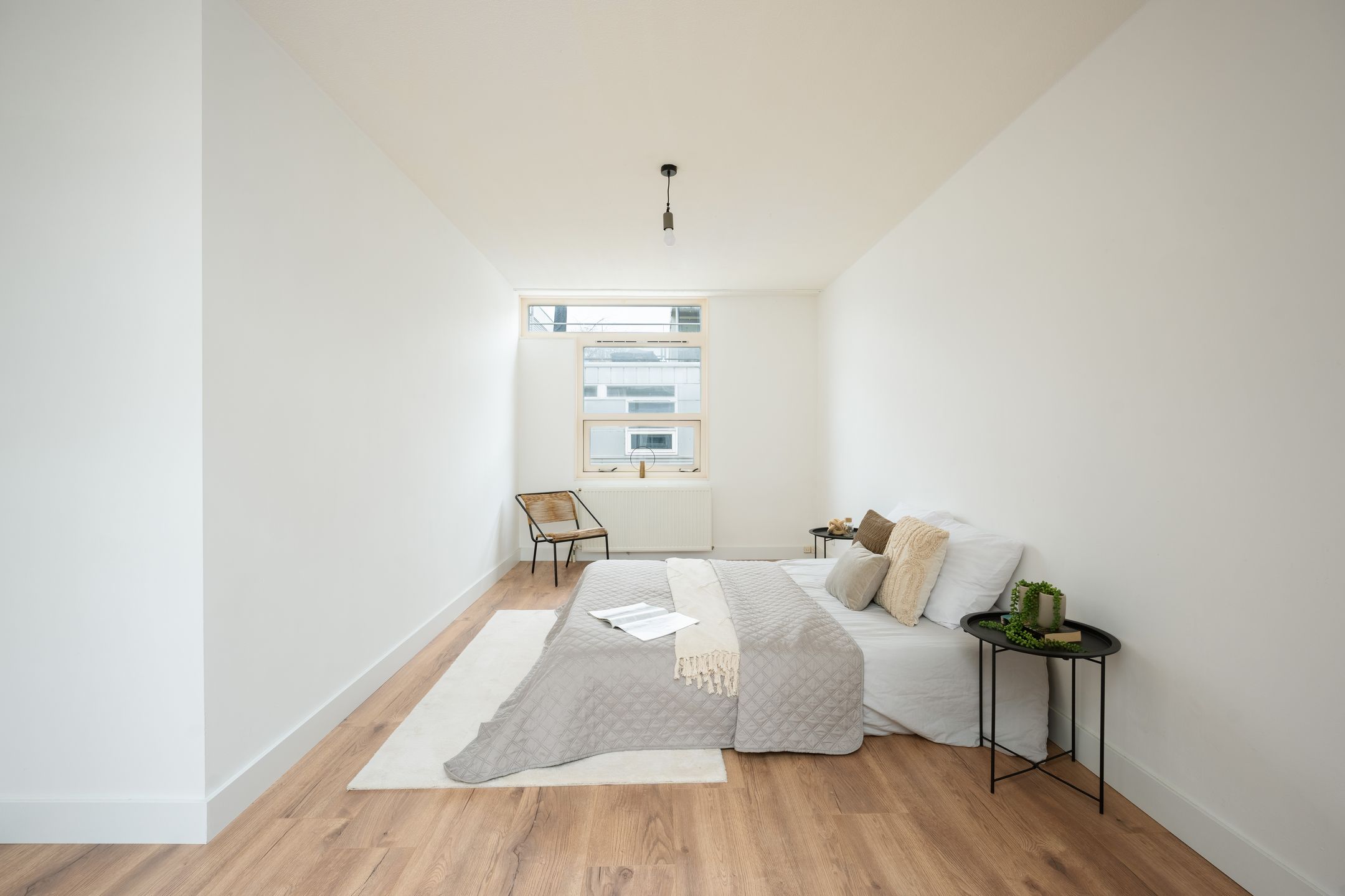 Foto 18 van Argusvlinder 6