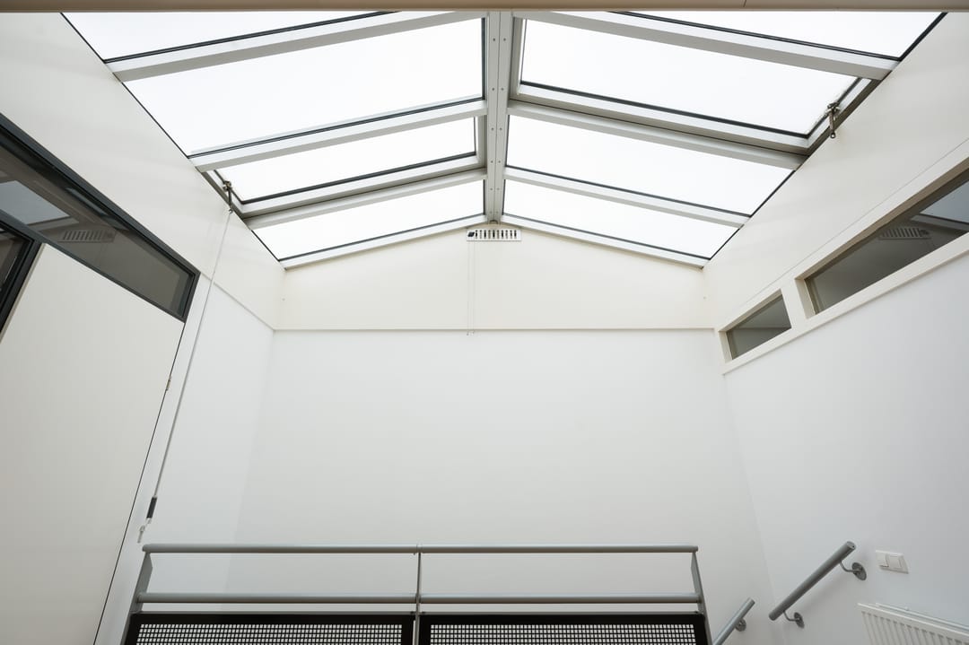 Foto 23 van Argusvlinder 6