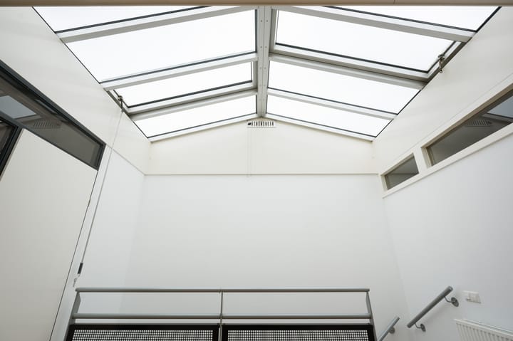 Foto 23 van Argusvlinder 6