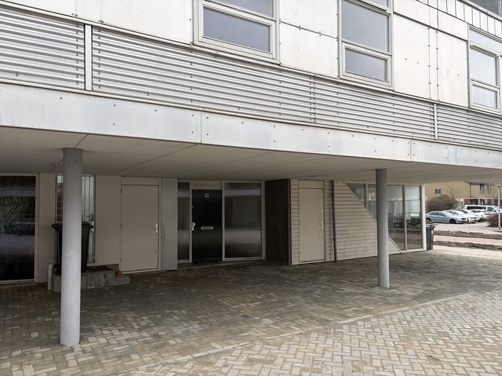 Foto 30 van Argusvlinder 6