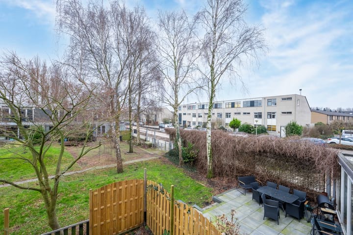 Foto 31 van Argusvlinder 6