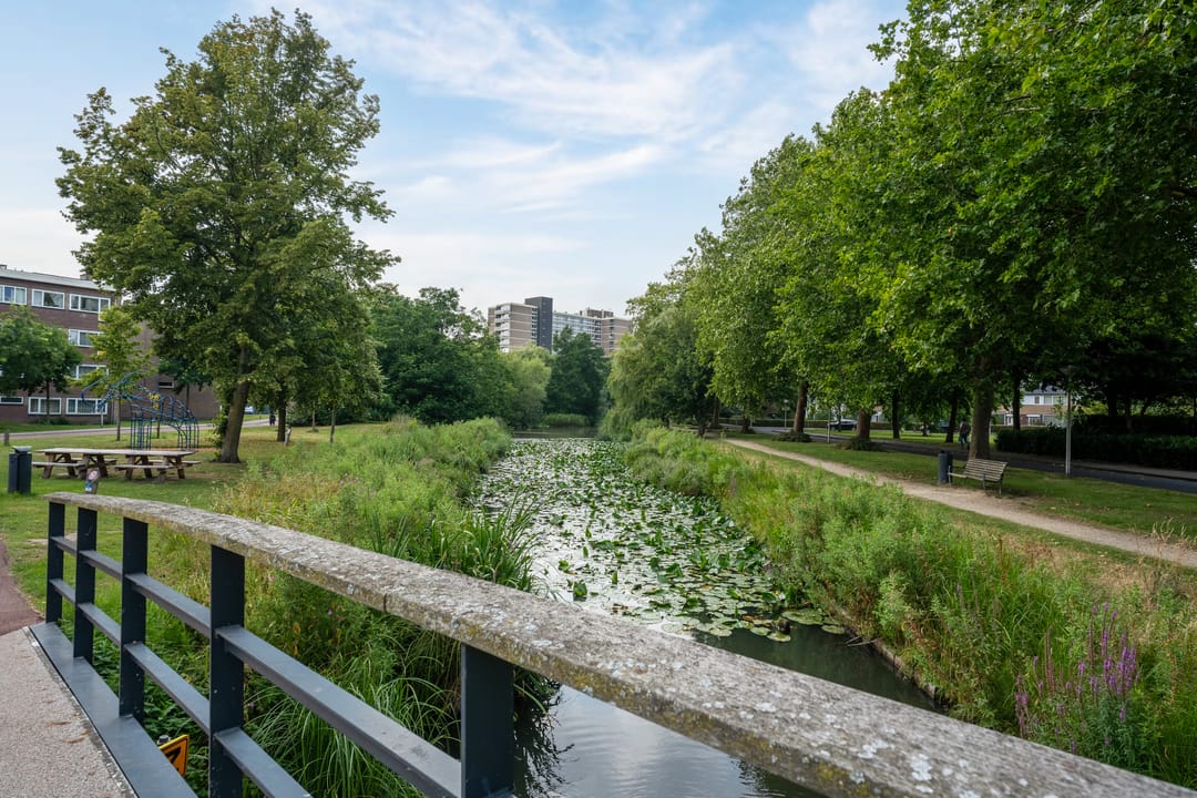 Foto 37 van Argusvlinder 6