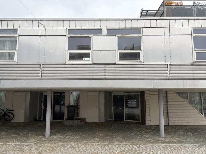 Foto 29 van Argusvlinder 6