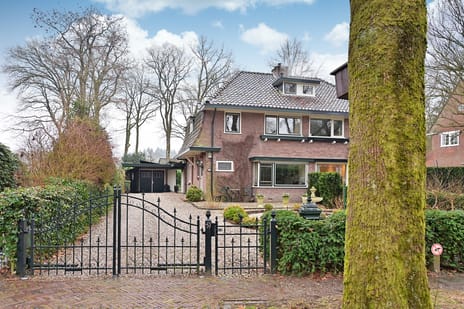 Bartolottilaan thumbnail