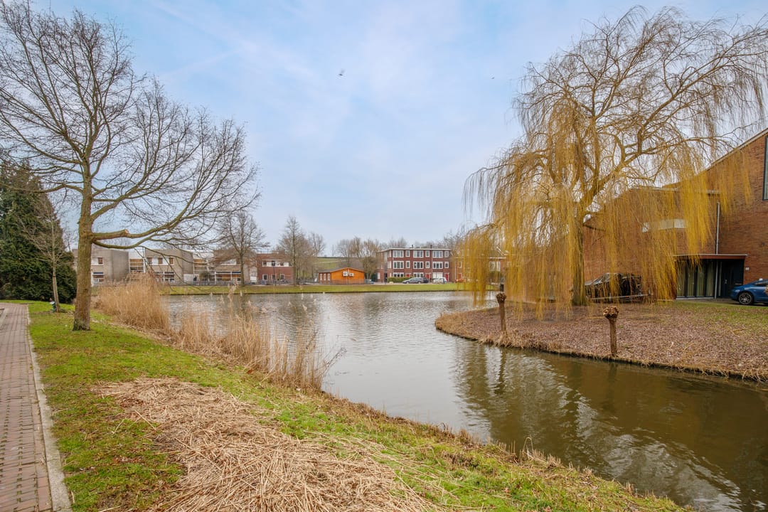 Photo 37 of Hertshooistraat 46