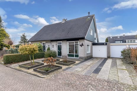 undefined main image