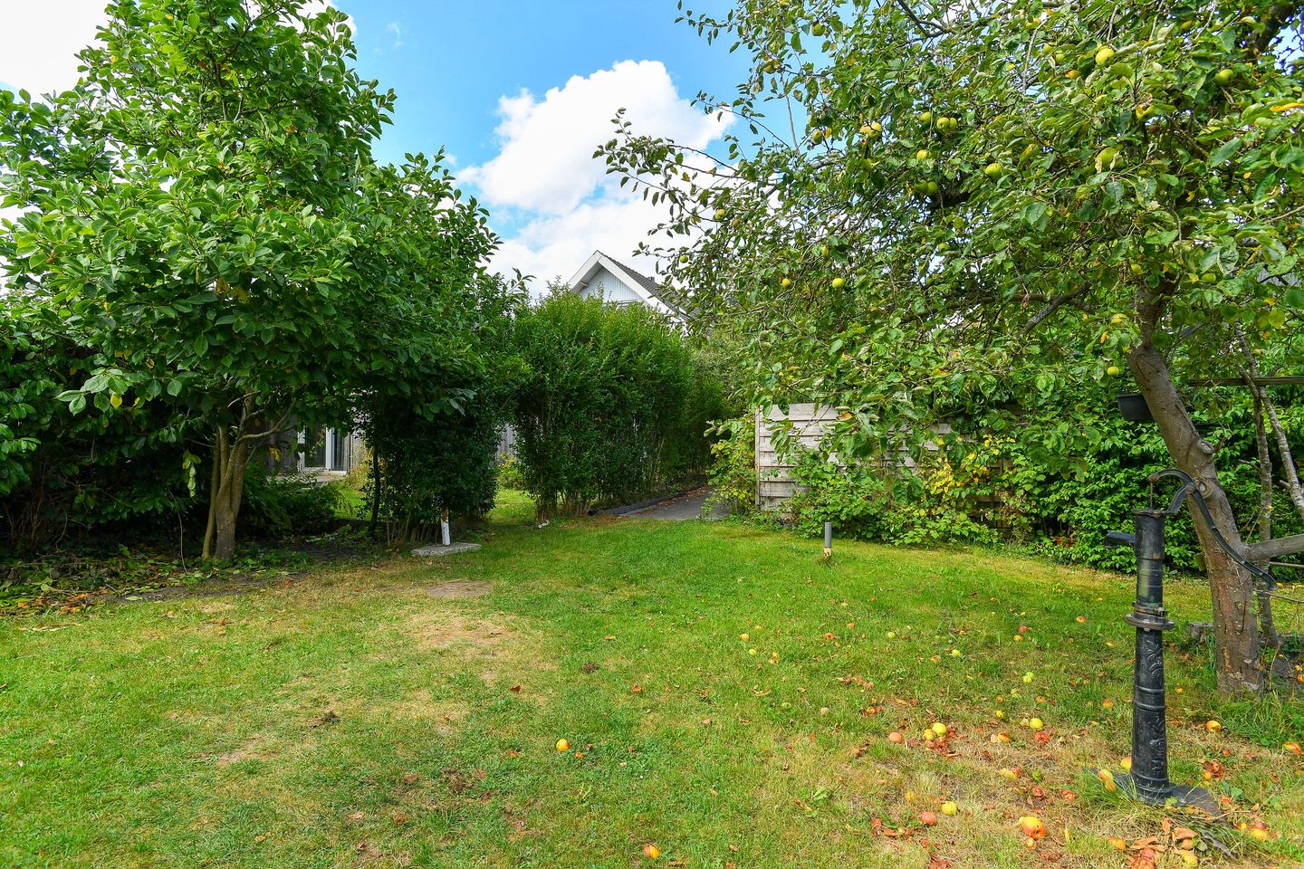 Foto 49 van Koningstraat 17