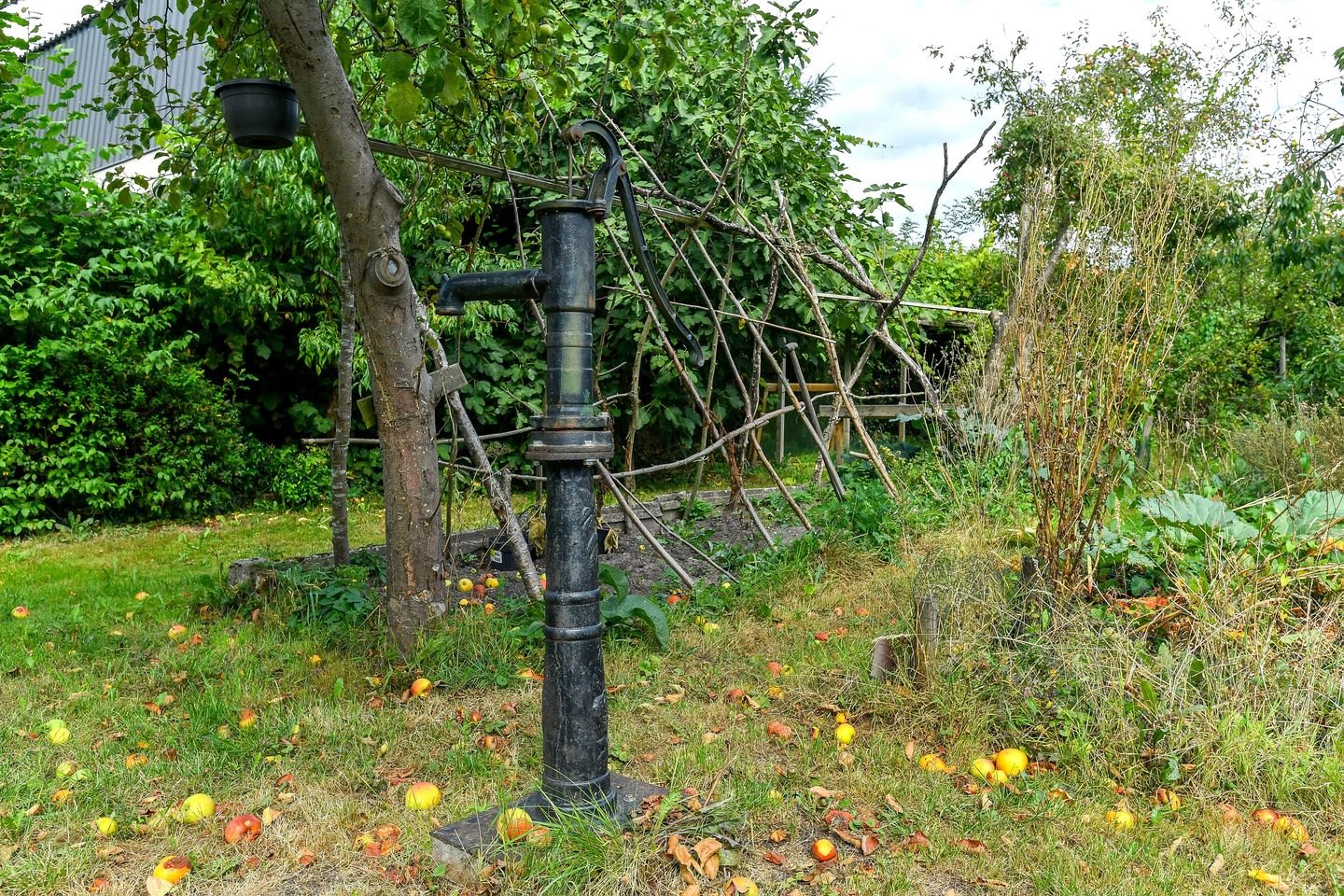 Foto 50 van Koningstraat 17