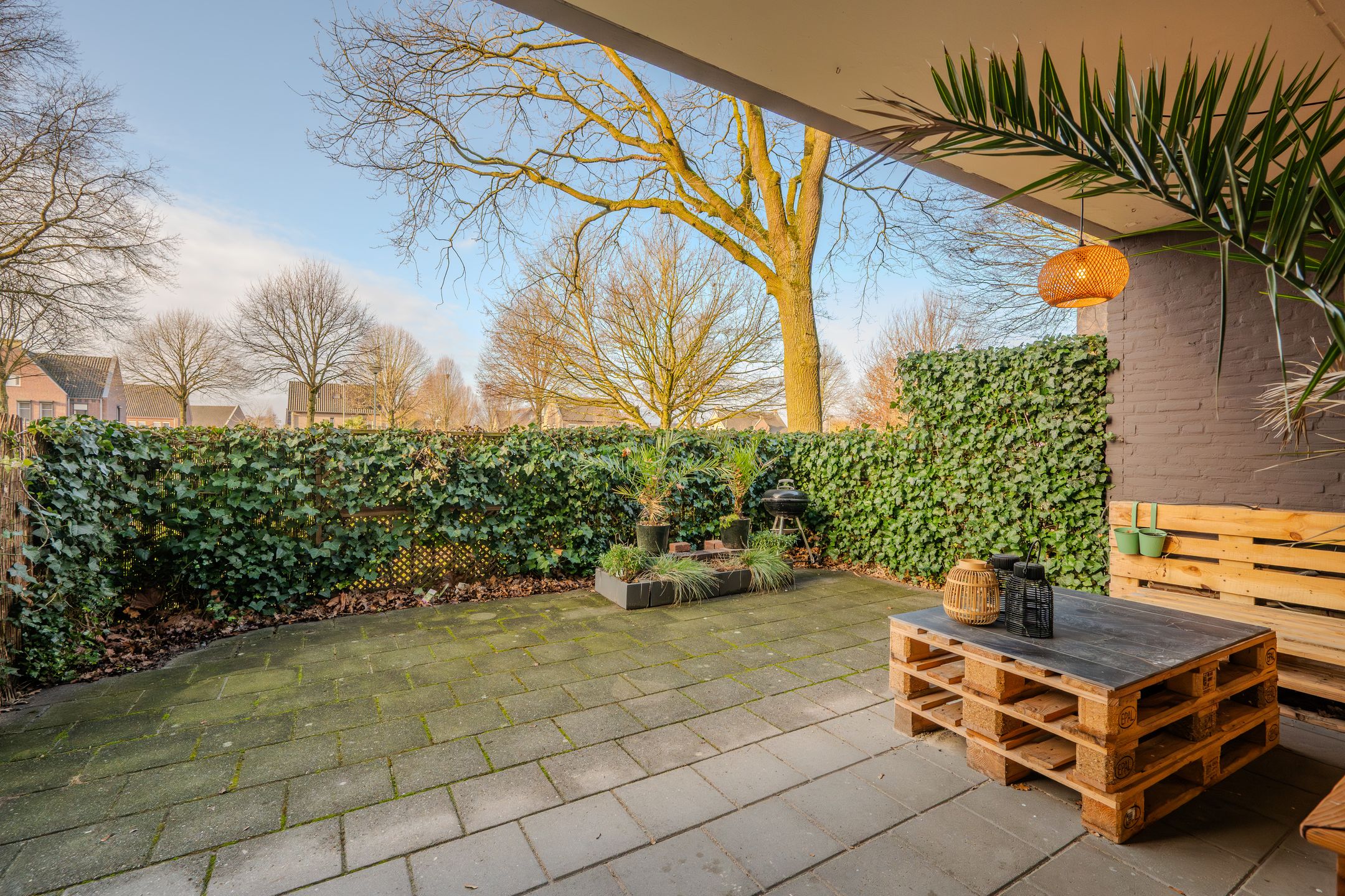 Photo 18 of Zwaluwstraat 81