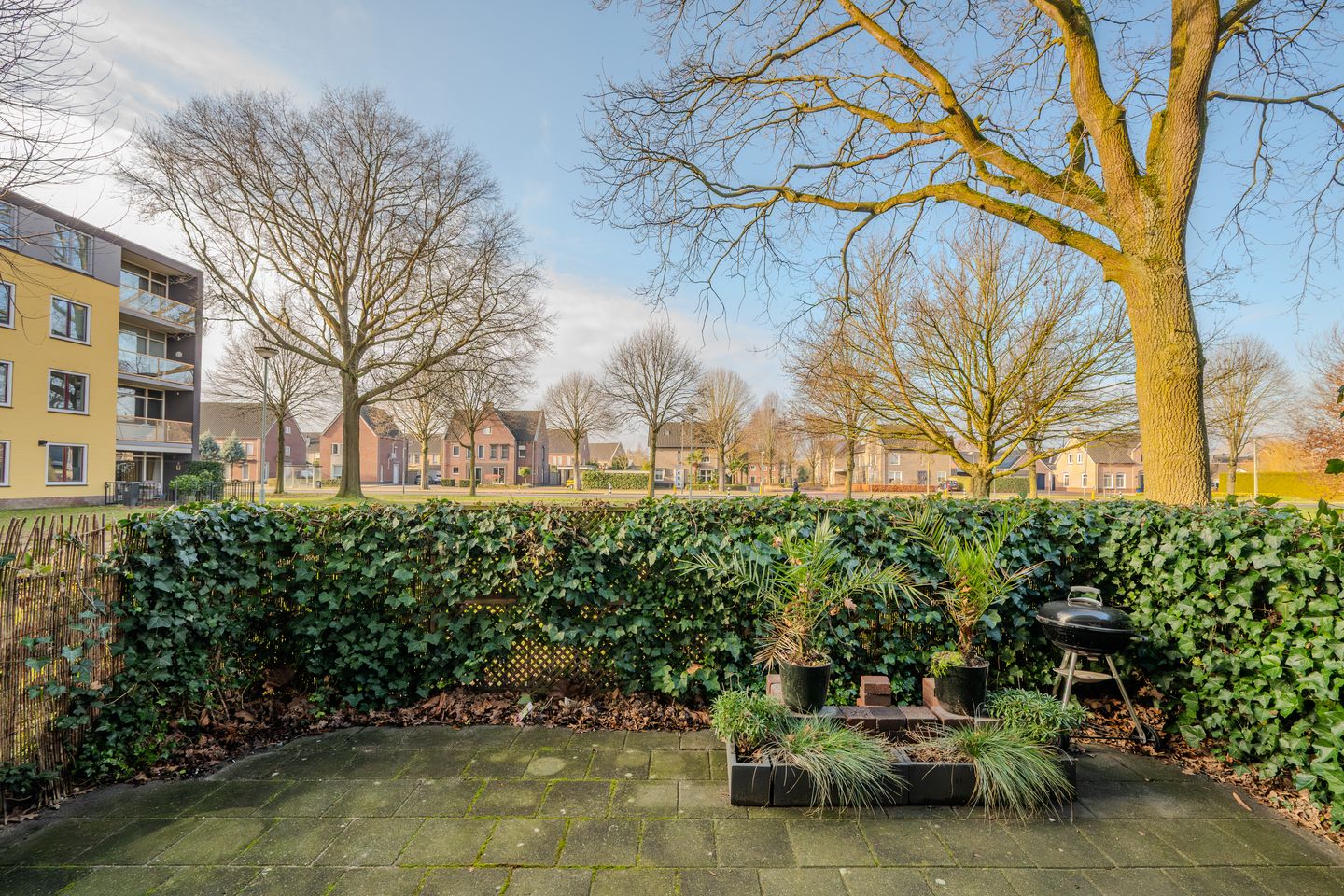 Photo 20 of Zwaluwstraat 81