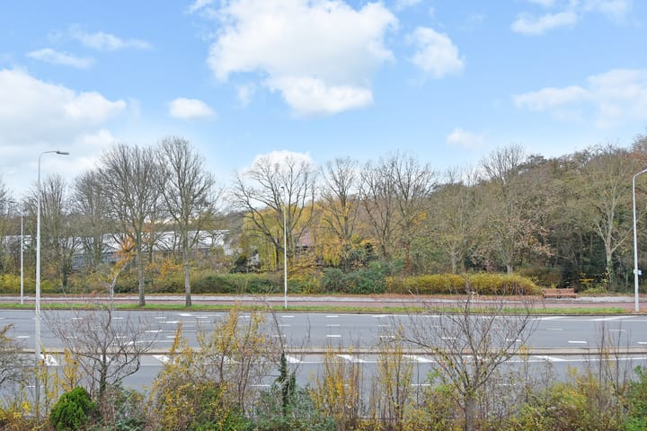 Foto 36 van Ockenburghstraat 54