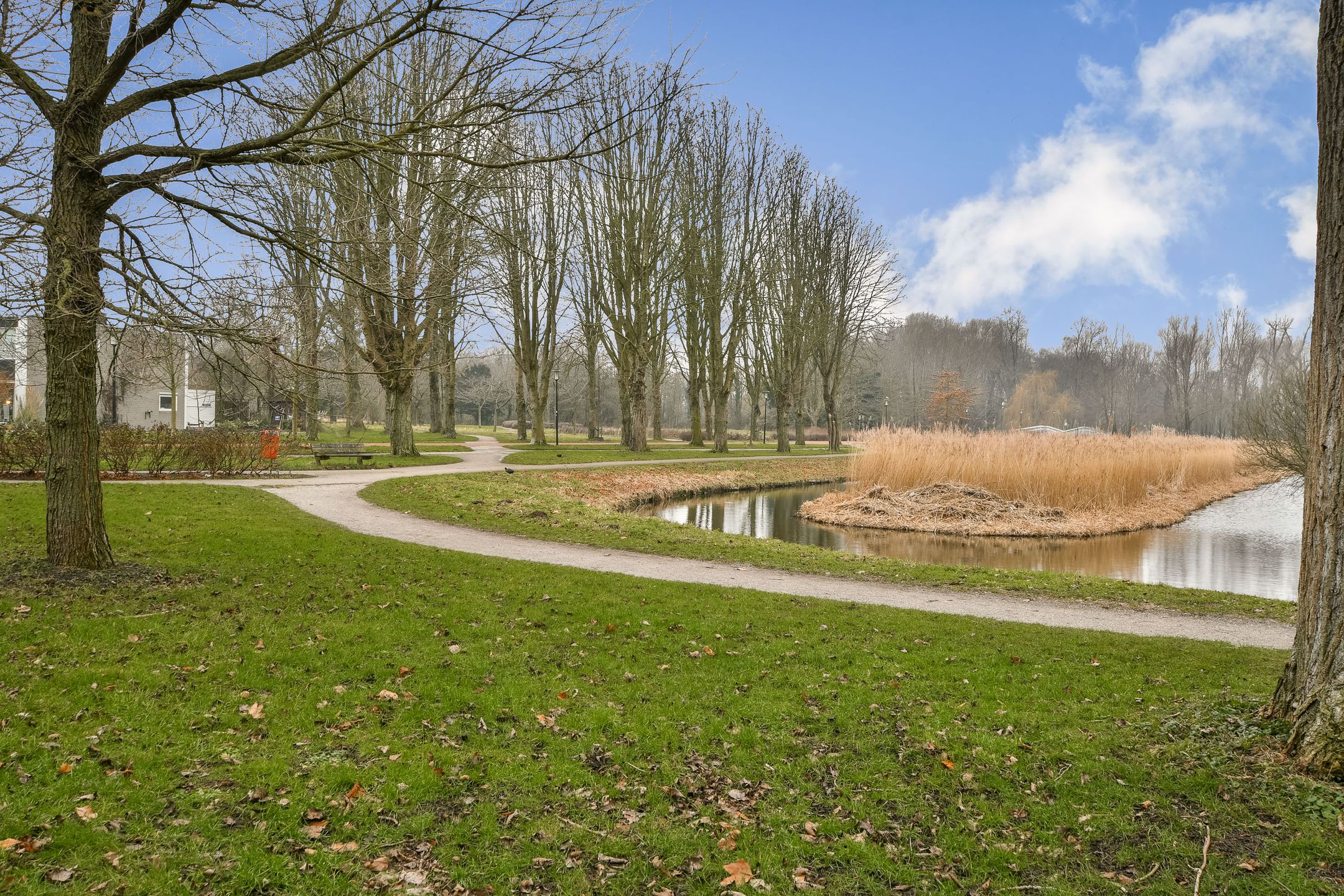 Foto 42 van Schepenlaan 114