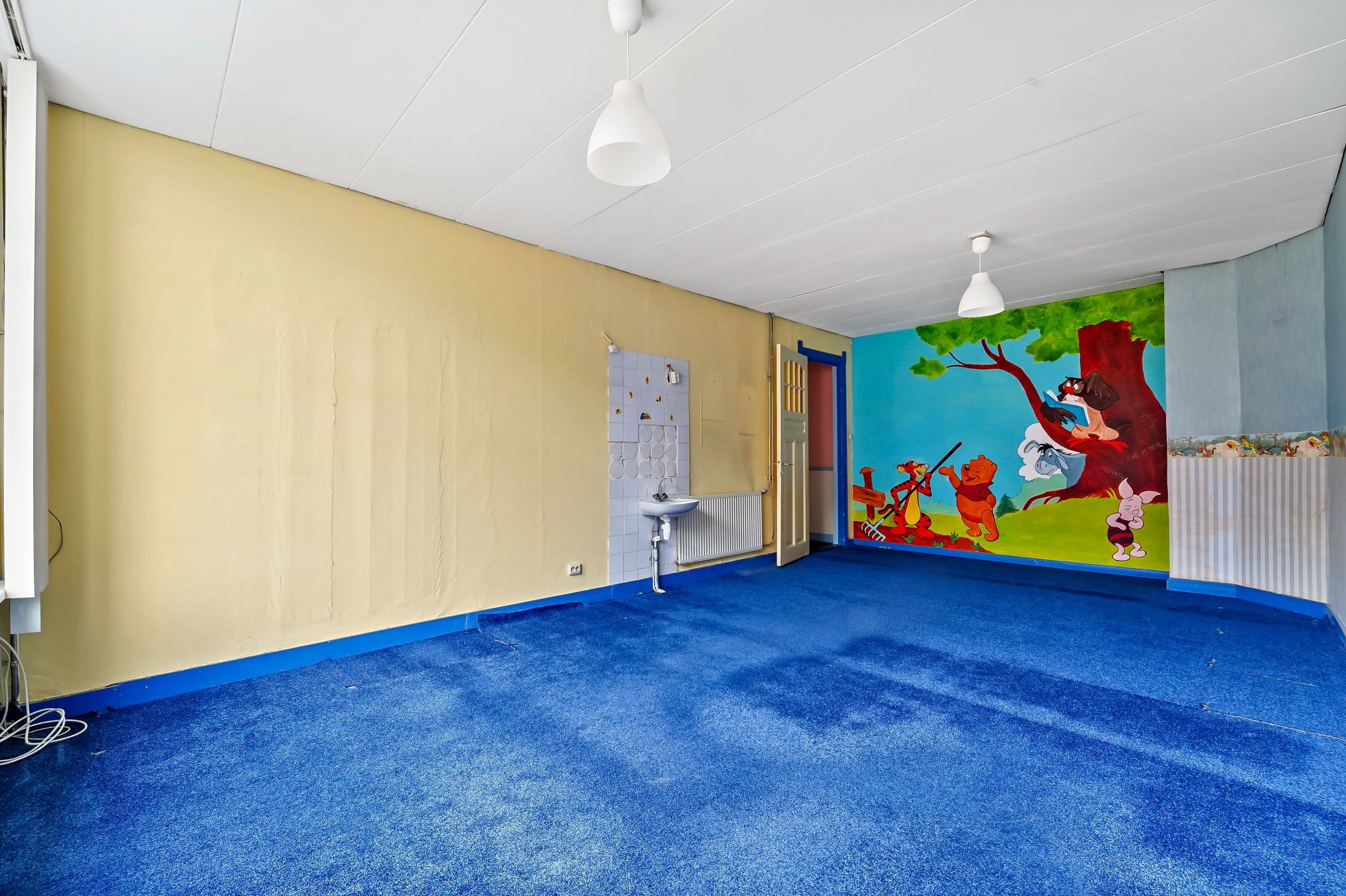 Foto 24 van Willem van Outhoornstraat 42