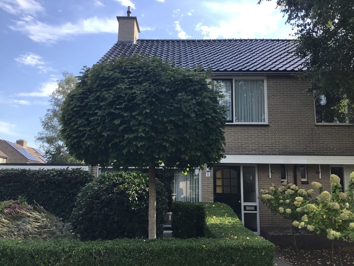 Foto 2 van Kaap Hoorn 1