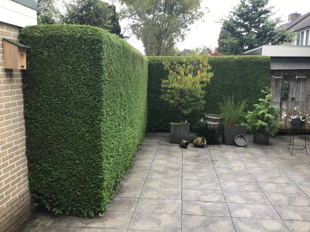 Foto 43 van Kaap Hoorn 1