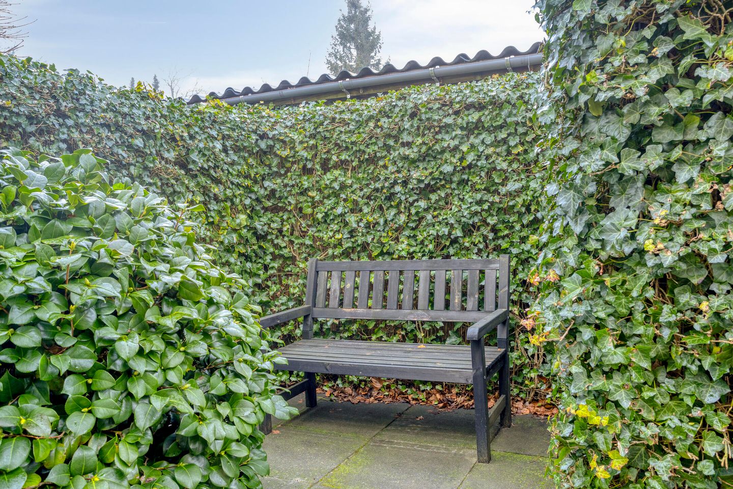 Foto 50 van Kaap Hoorn 1