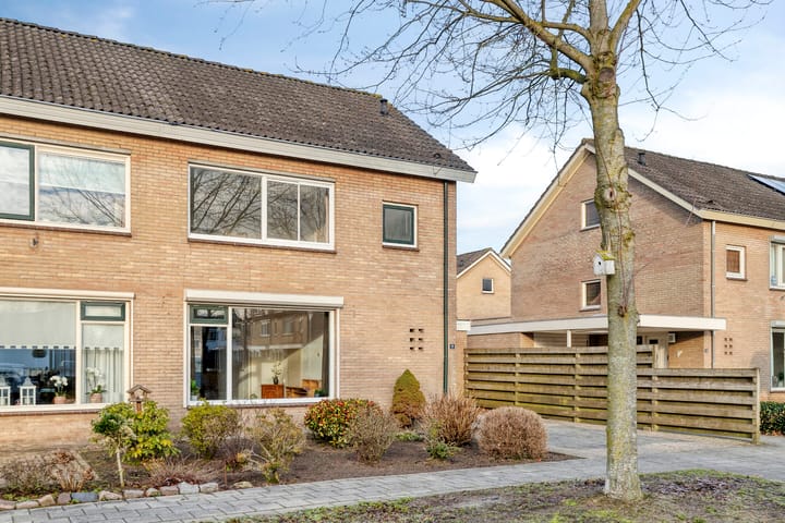 Foto 2 van Rozeboom 9