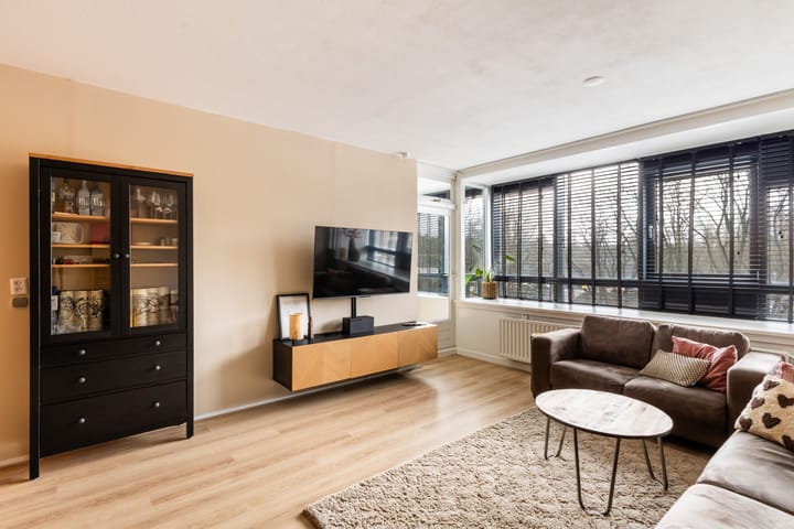 Laan van Vollenhove 160