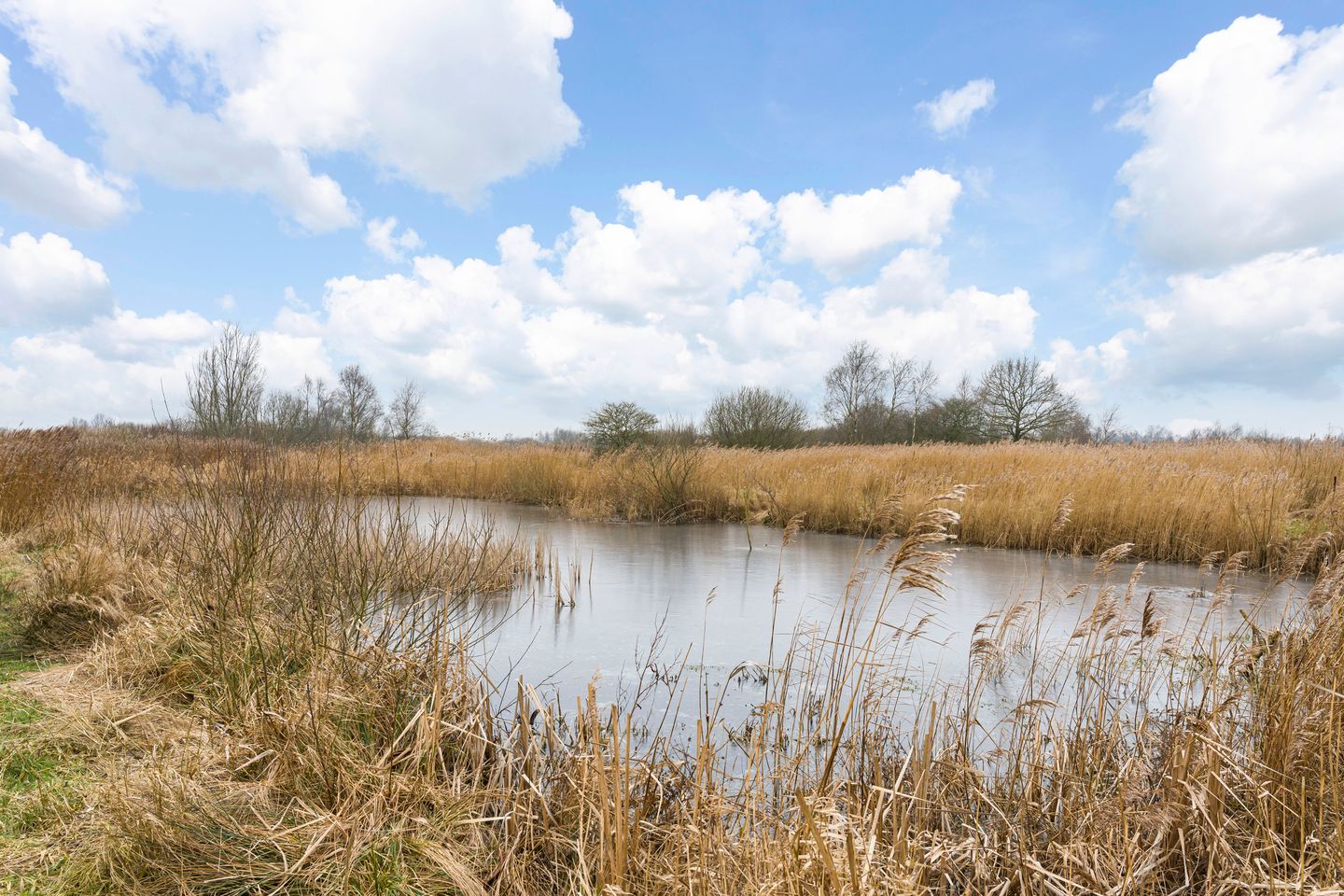 Foto 55 van Veendijk 5