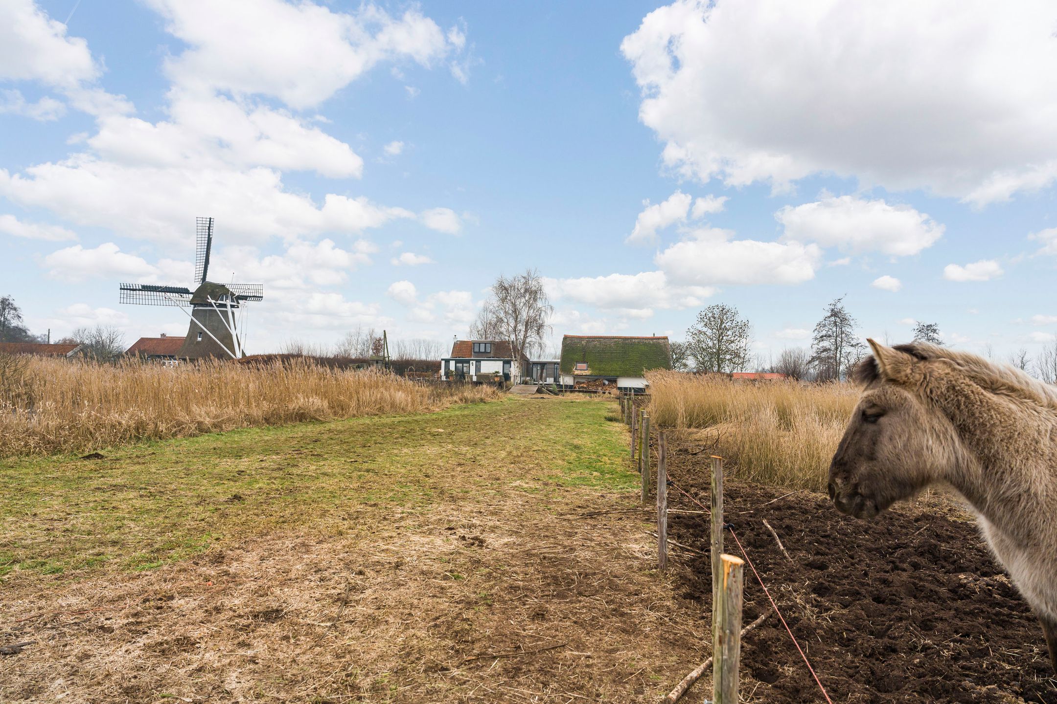 Foto 57 van Veendijk 5