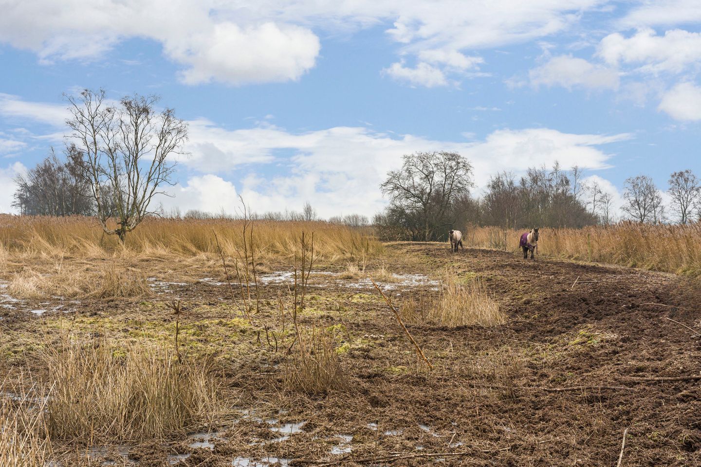 Foto 59 van Veendijk 5