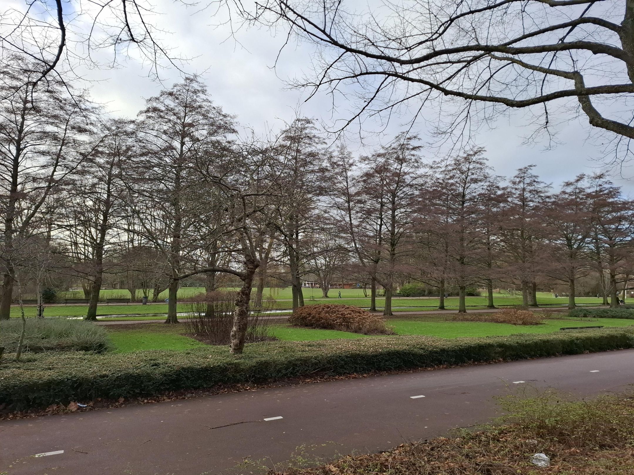 Foto 3 van Van der Meydestraat 52-B