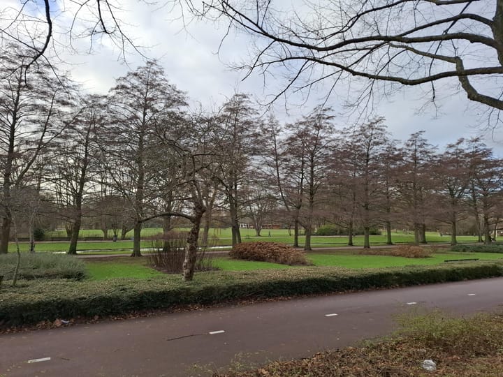 Photo 3 of Van der Meydestraat 52-B