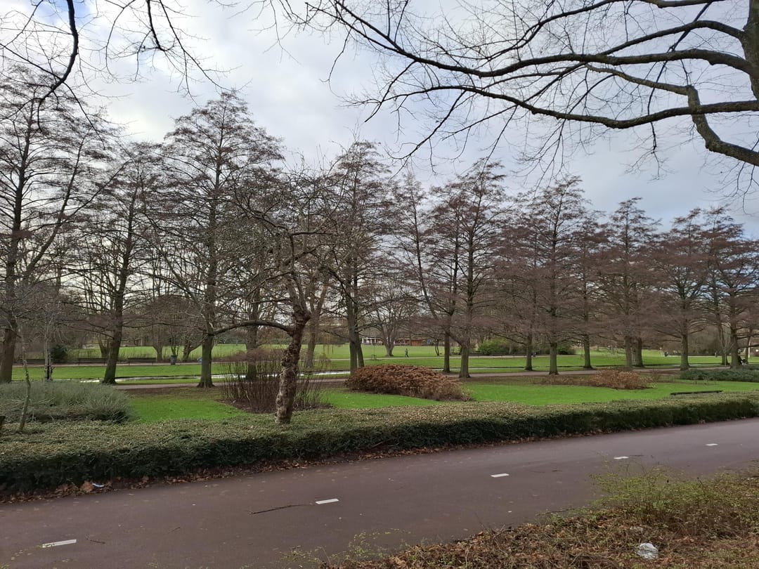 Foto 16 van Van der Meydestraat 52-B