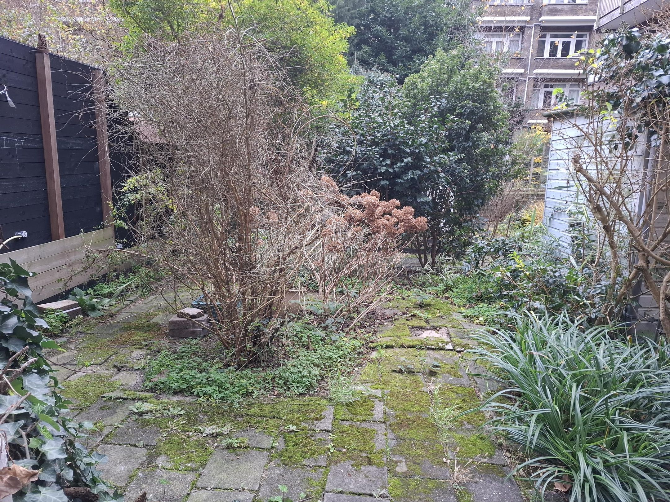 Foto 12 van Van der Meydestraat 52-B