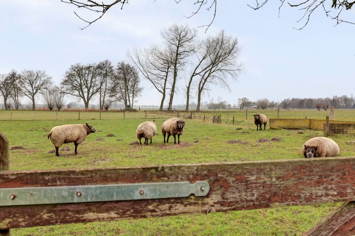 Photo 30 of Veluwsedijk 20