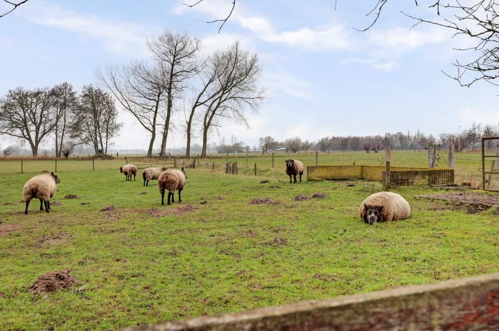 Photo 31 of Veluwsedijk 20