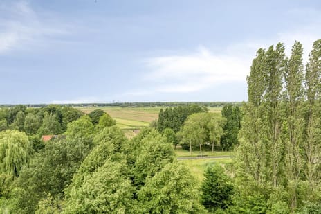 Kasterleestraat 362 tertiary image