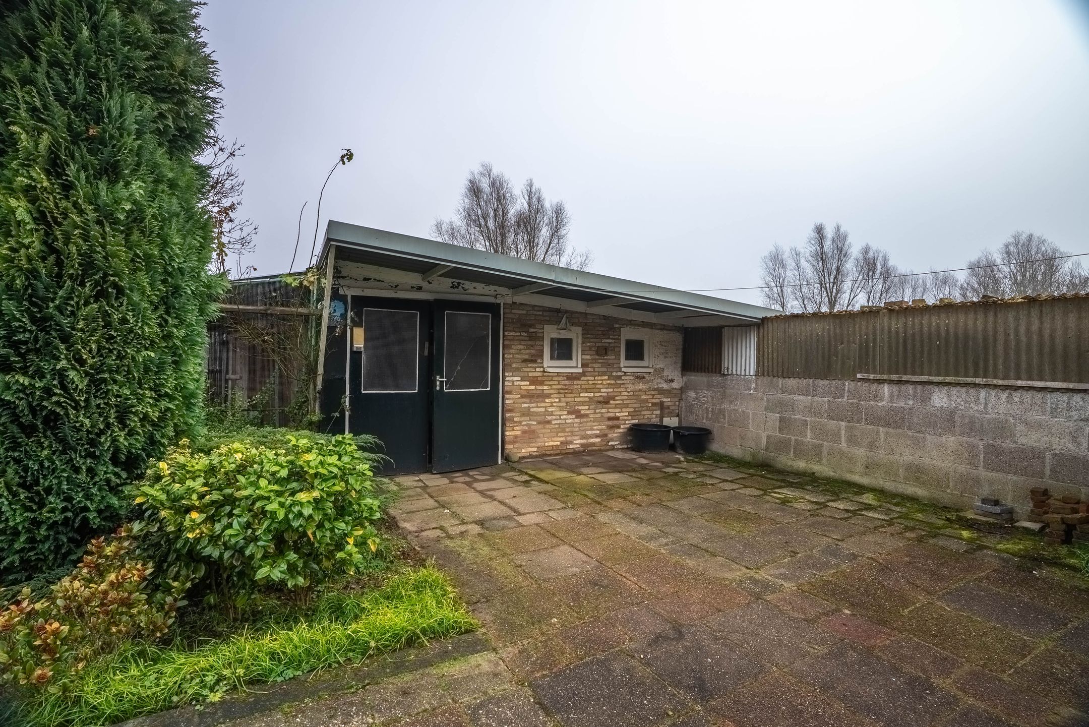 Foto 39 van Lytse Buorren 5