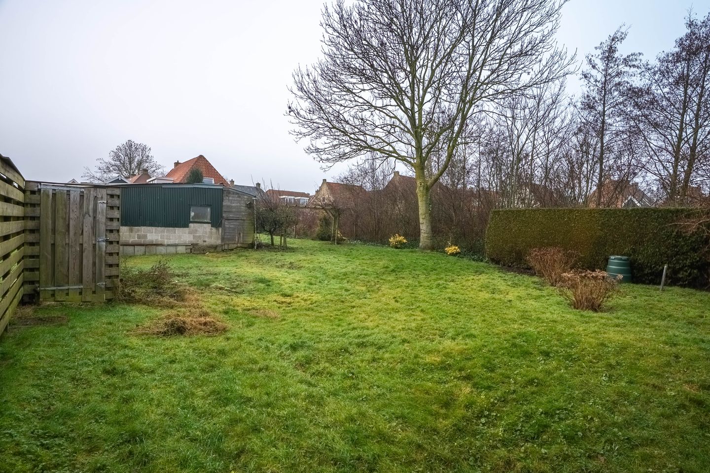 Foto 40 van Lytse Buorren 5