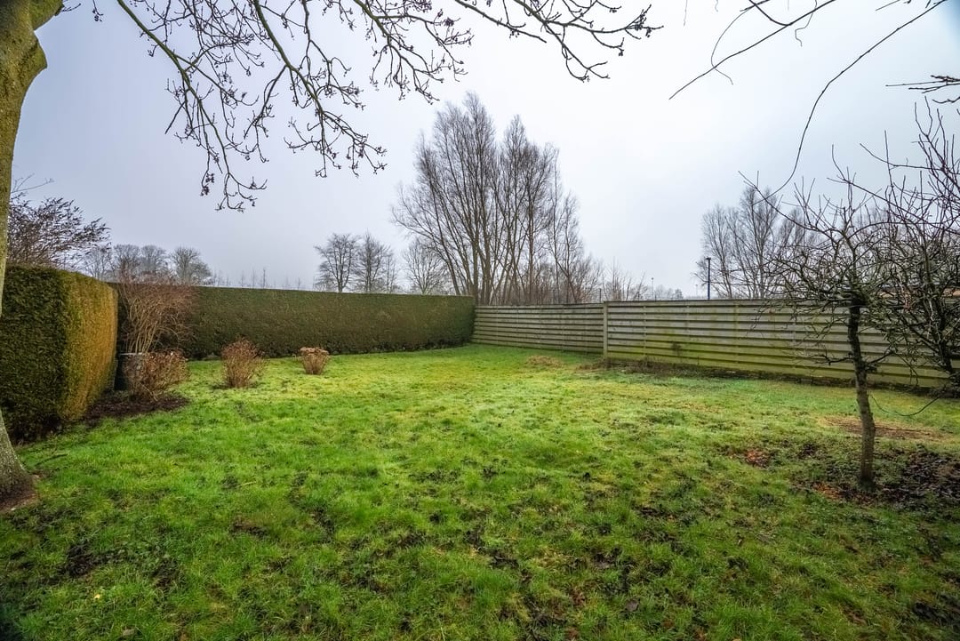 Foto 41 van Lytse Buorren 5