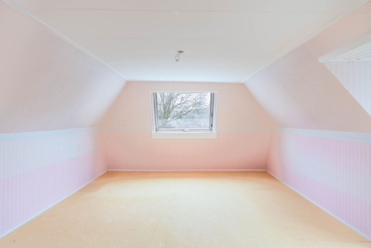 Foto 20 van Lytse Buorren 5