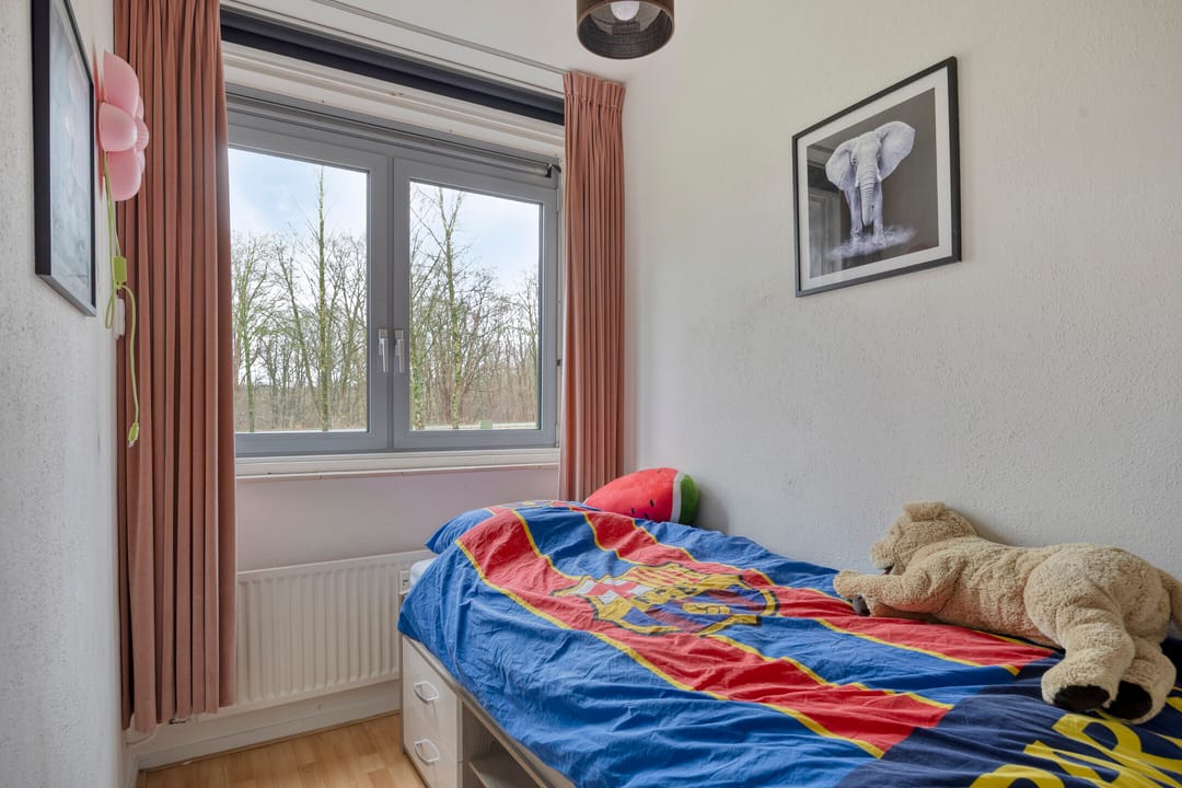 Foto 17 van Boerhaavelaan 87