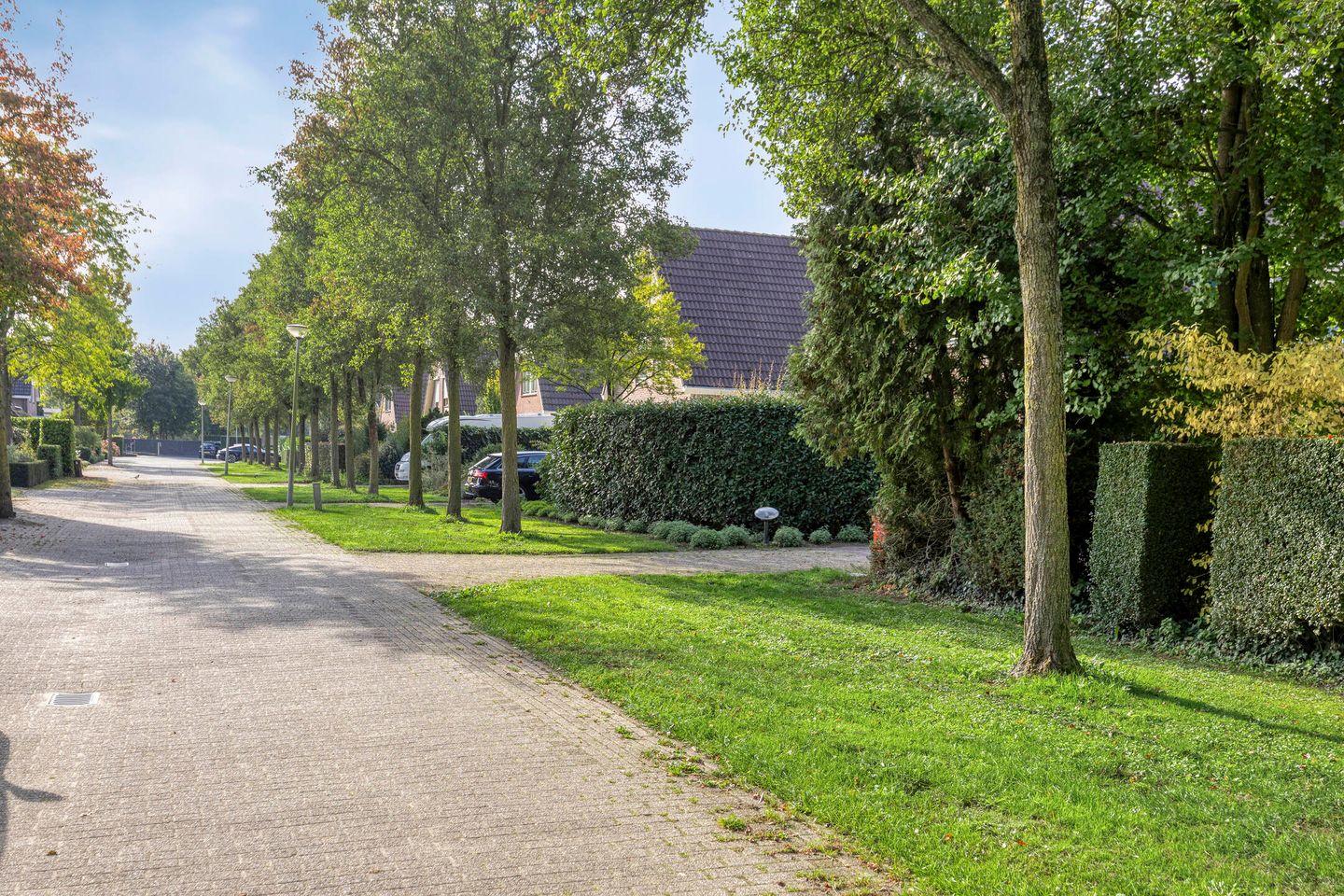 Foto 44 van De Peel 8