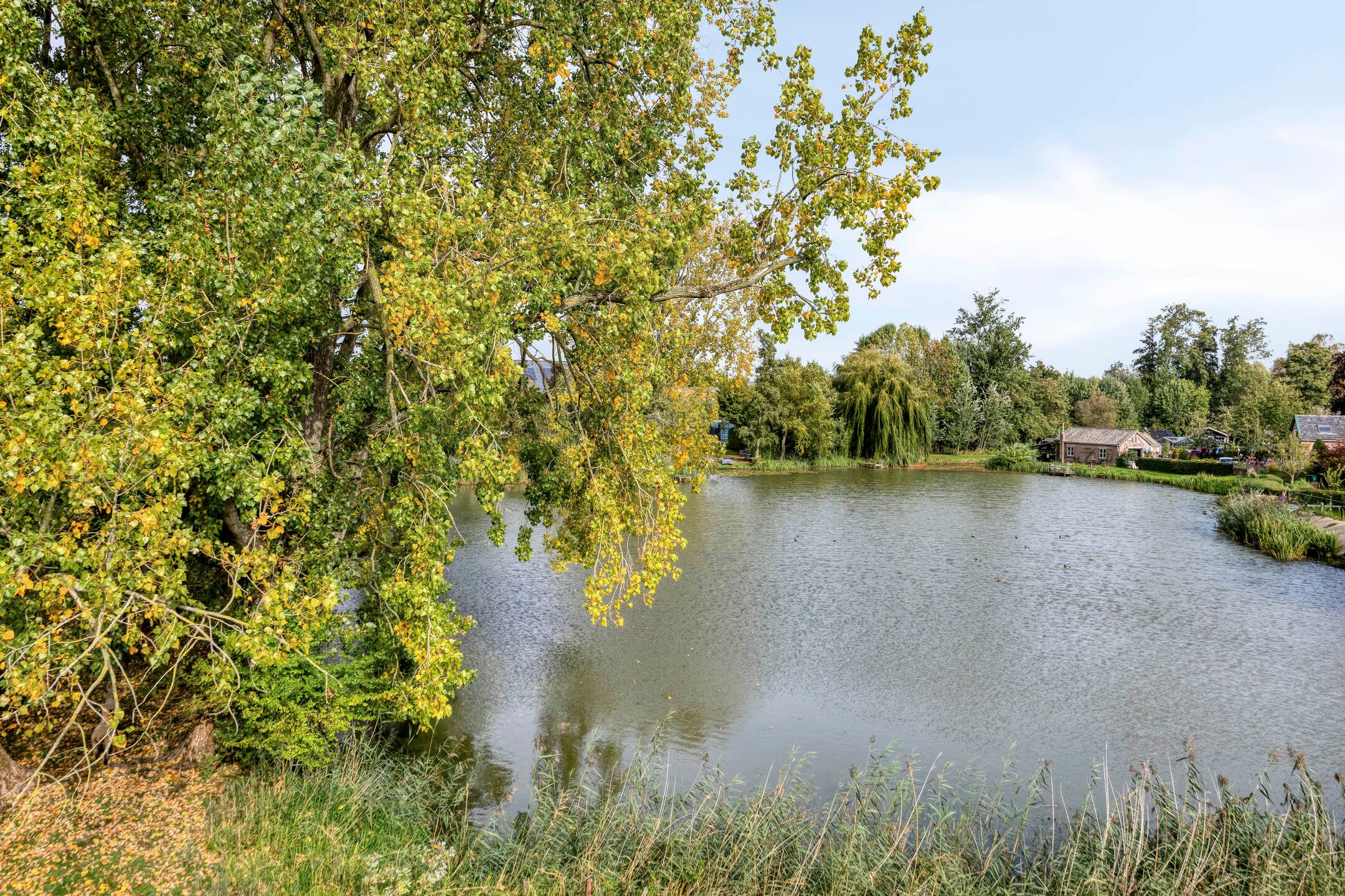 Foto 51 van De Peel 8