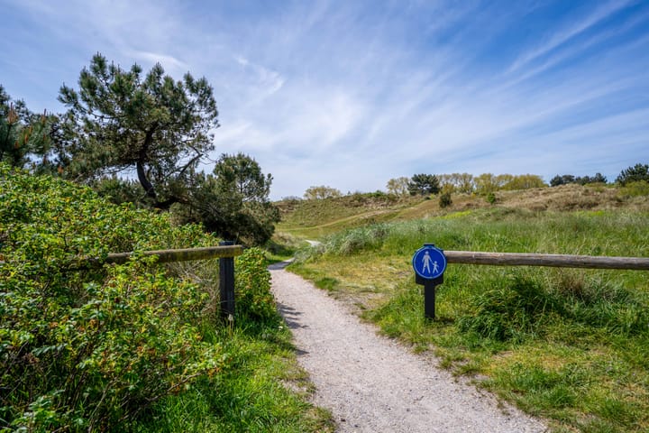 Photo 4 of De Blinkerd 11