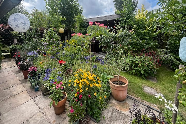 Foto 27 van Kamvaren 18