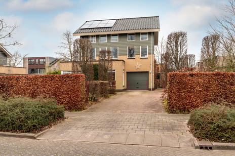 undefined main image